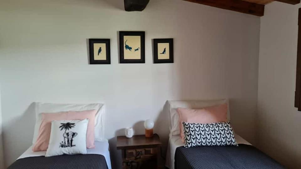 فيلا Casa Da Ti Adelia Janeiro de Cima المظهر الخارجي الصورة